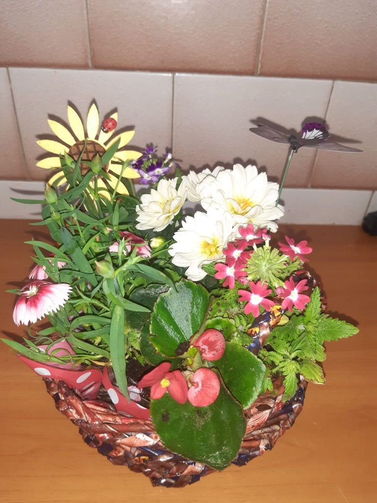 Coșulețe pt aranjamente florale