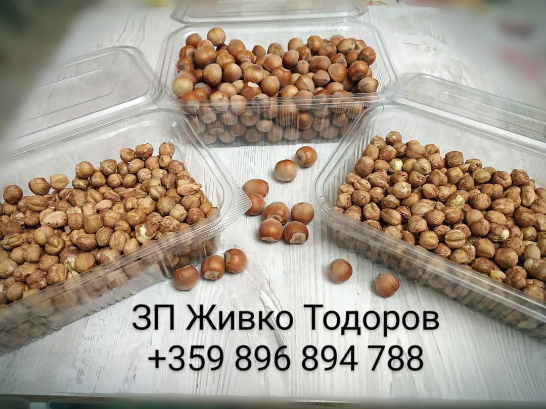 Био Лешници реколта 2024г.