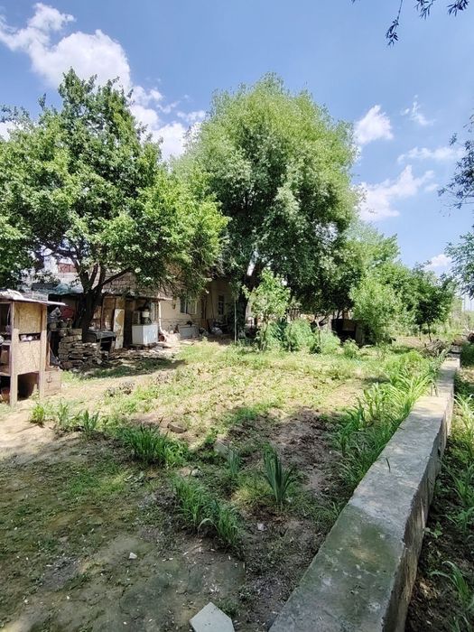 Участка зор жойда