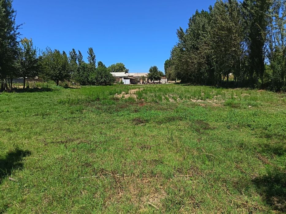 Yer uchastkasi sotiladi