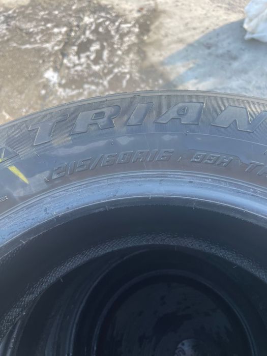 Шины зимние triangle