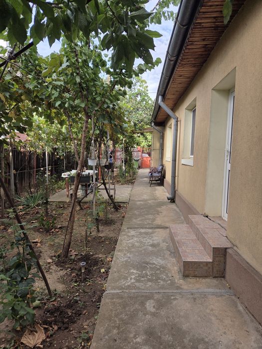 Vand casa cu 2 camere, 65 mp, 295 mp teren, sector 6 (str. Budieni)