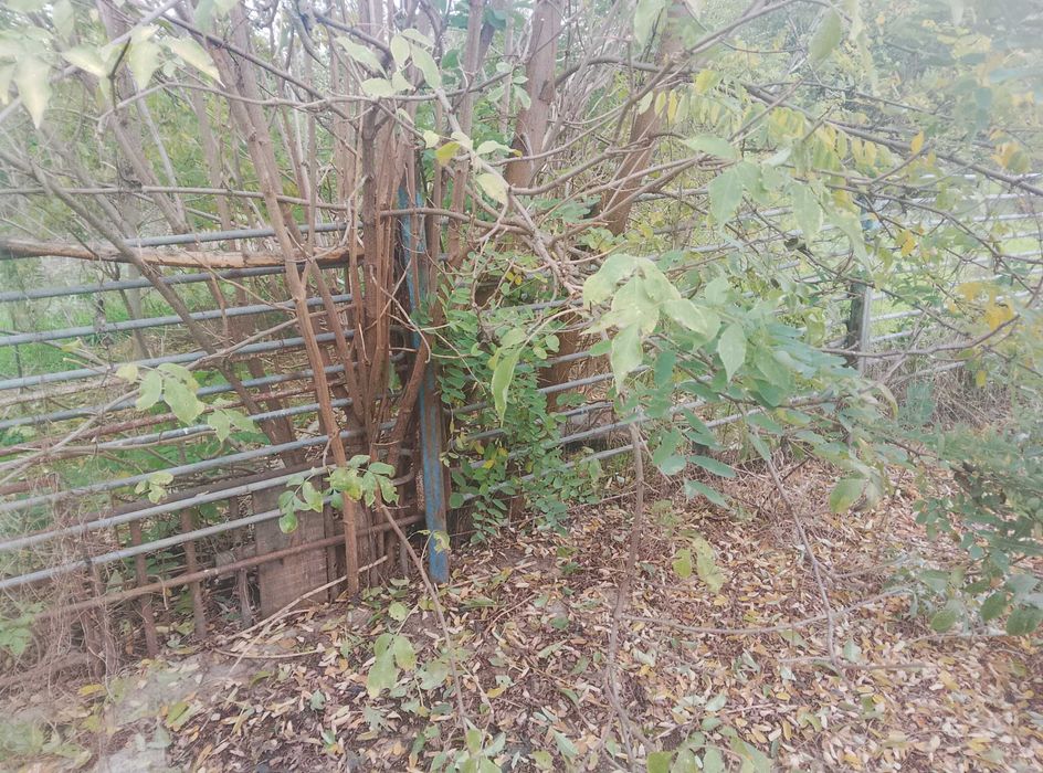 Gard la preț de fier vechi