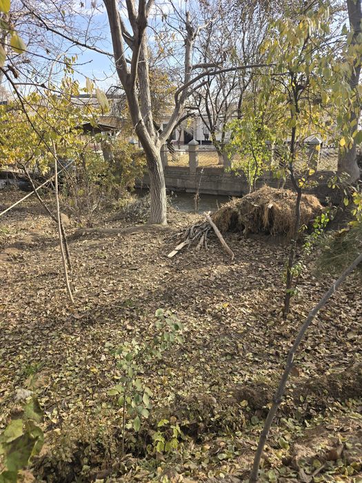 Утин курук  otin utin Дрова  сухой Чирчикда