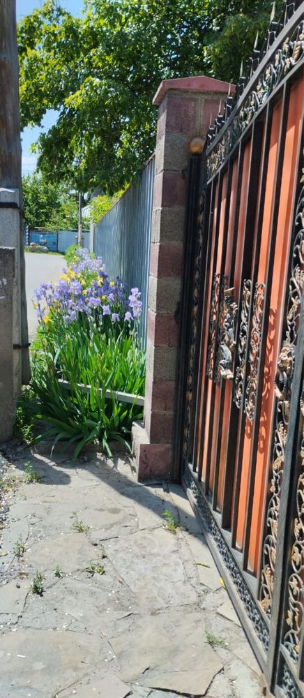 Срочно продаю дом в Жетысуйском районе