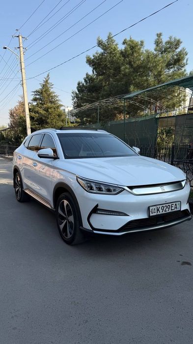 Byd song plus plashp