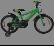 Bicicleta copii  Master Omega 20 verde