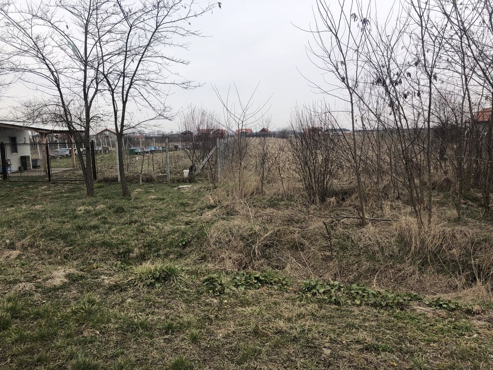La SOSEA  teren  intravilan l la 8 km de Satu Mare( Vetis)