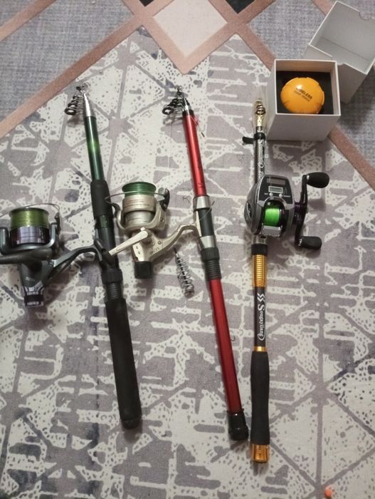 Lansete cu mulinetă și un sonar