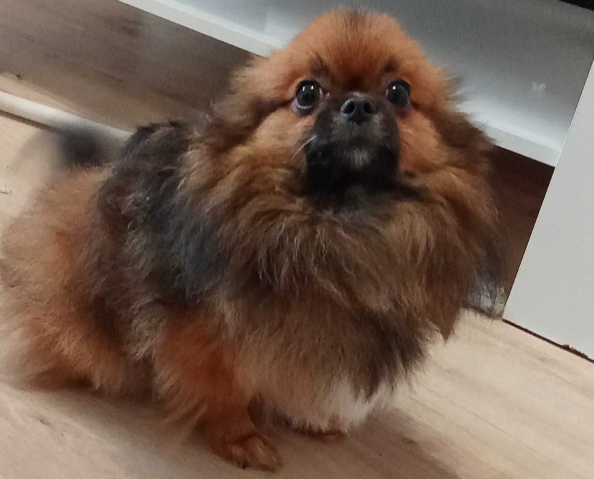 Мини сладко момченце