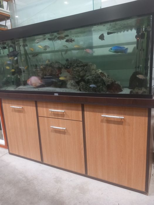 Vand acvariu 450 l complet .