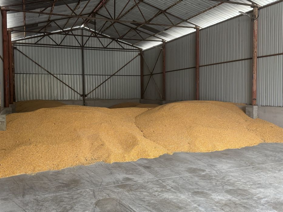 Продавам царевица