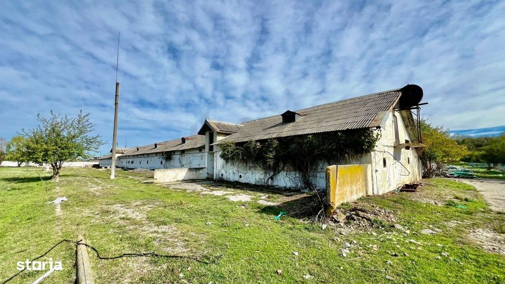 Hala industriala 18500mp Scornicesti-Olt