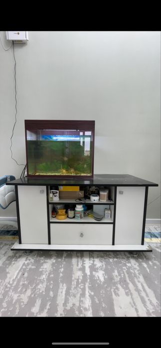 Срочно Аквариум сатылады бағасы 15 мың