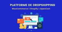 Magazin online dropshipping la cheie / servicii web / seo / ads