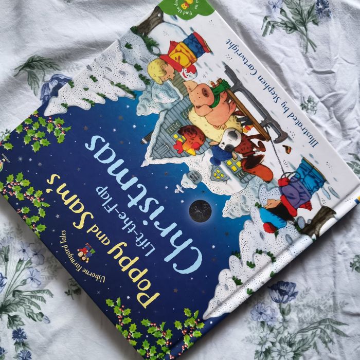 Lichidare de stoc carti Usborne