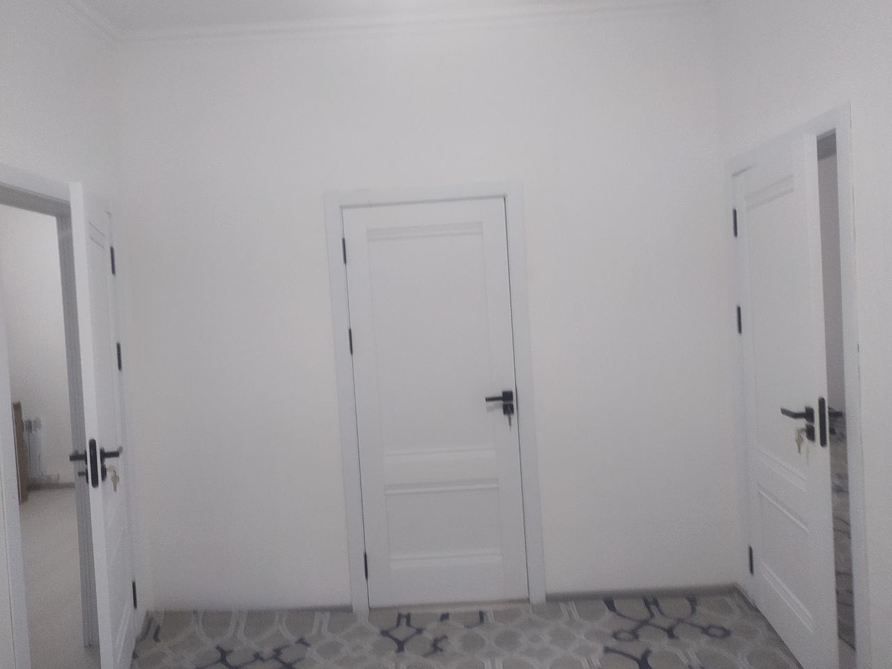 Dom yangi qurilgan uylardan hali odam yashamagan