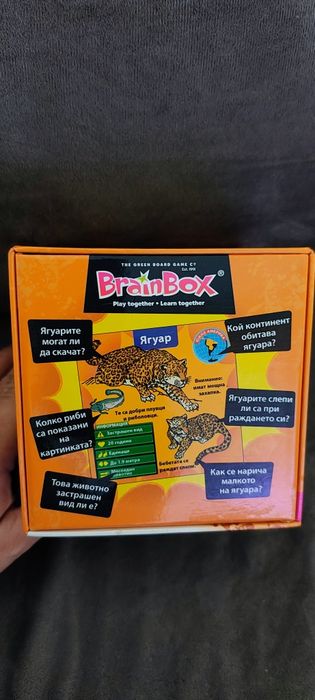 Brainbox Брейнбокс  животни