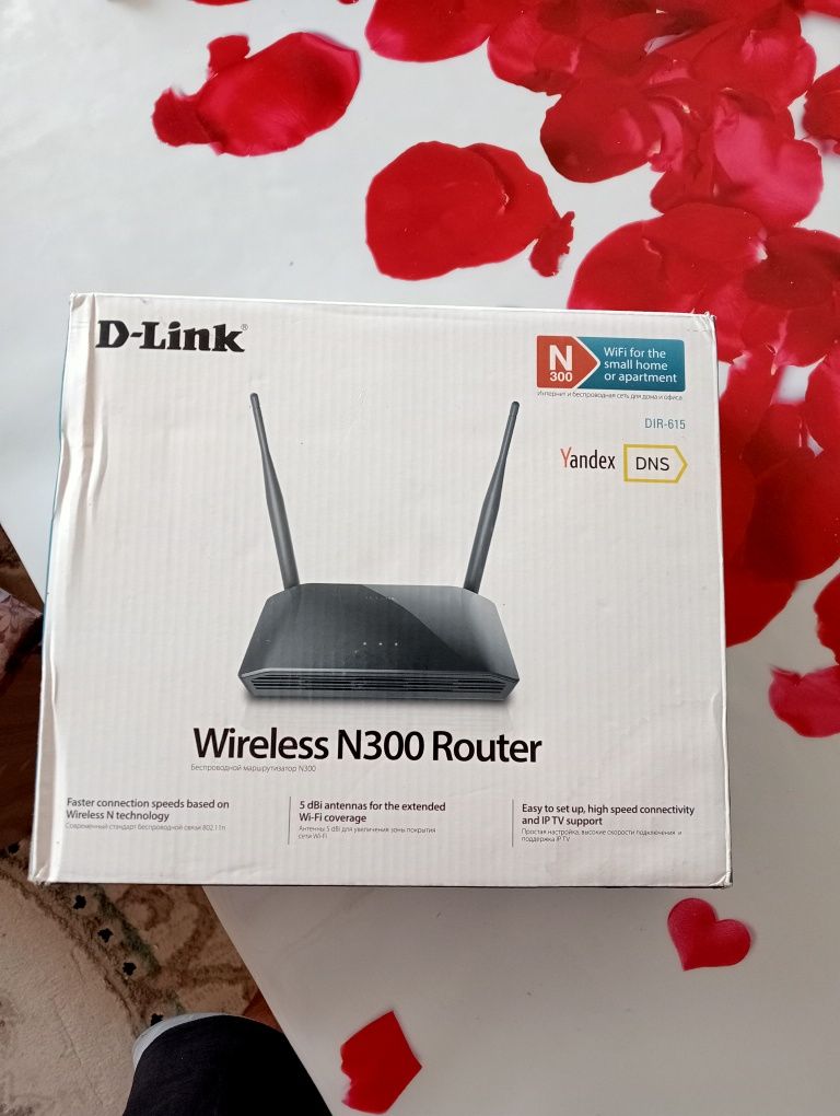 D-Link Wireless N300 Router