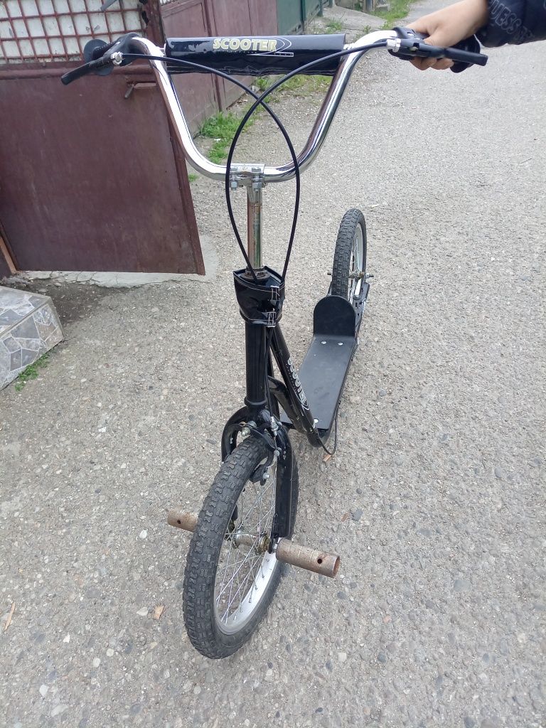 Trotineta (scooter)