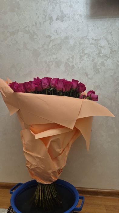 101 роза свежие