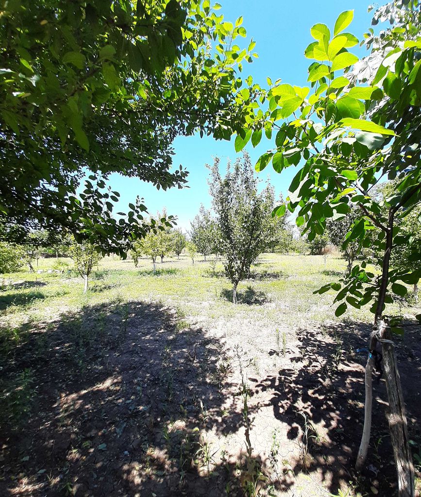 Продава се Къща в с. Съединение, Област Търговище - 42 кв.м за 304 €/кв.м - Снимка #9
