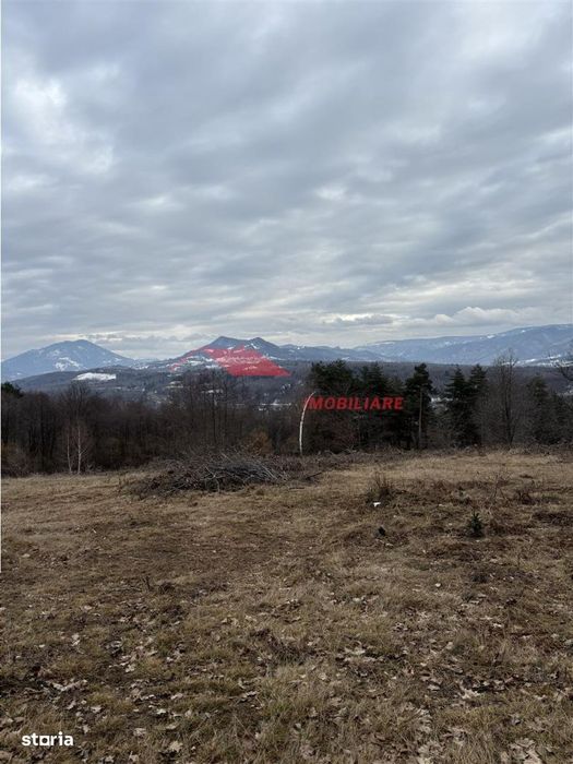 Teren cu 2 izvoare,  Prundul Bargaului