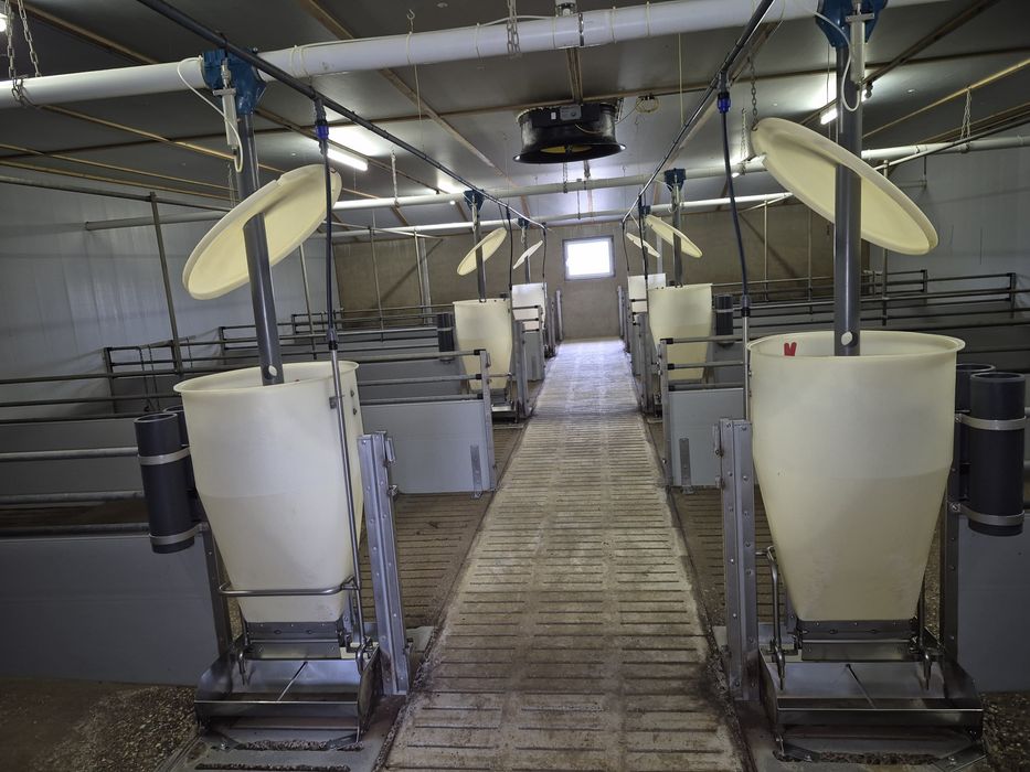Hranitoare-Adepatoare Automate Porci-purcei. Recent adusa din Germania