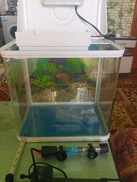 Продавам оборудван аквариум 20л. Сомчета пораснаха и вече ми е малък.