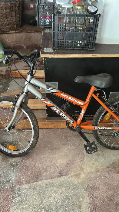 Bicicletă copii/adolescenți Mission Alpha