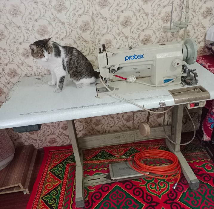 Швейная машына, тігін машынасы