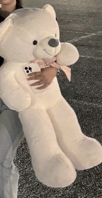 Большой мишка новый