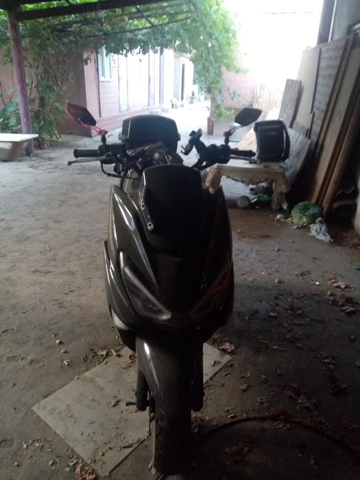 Мапет макси 2023