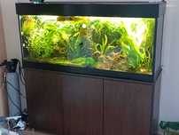 Acvariu 300 litri