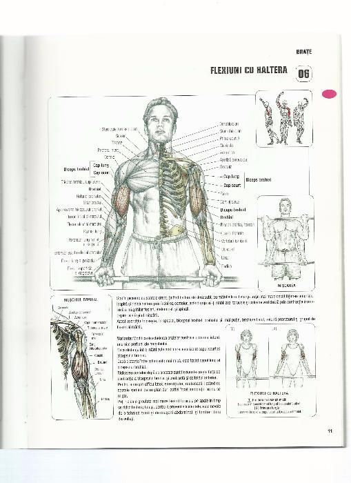 Cartea Anatomia unui corp perfect cu transport inclus cu posta romana