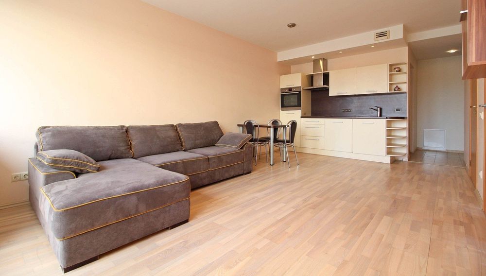 Двустаен апартамент в Младост 4