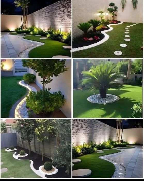 Plante ornamentale
