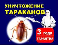 Тараканы, клопы, крысы, муравьи, дезинфекция  Семей,  гарантия