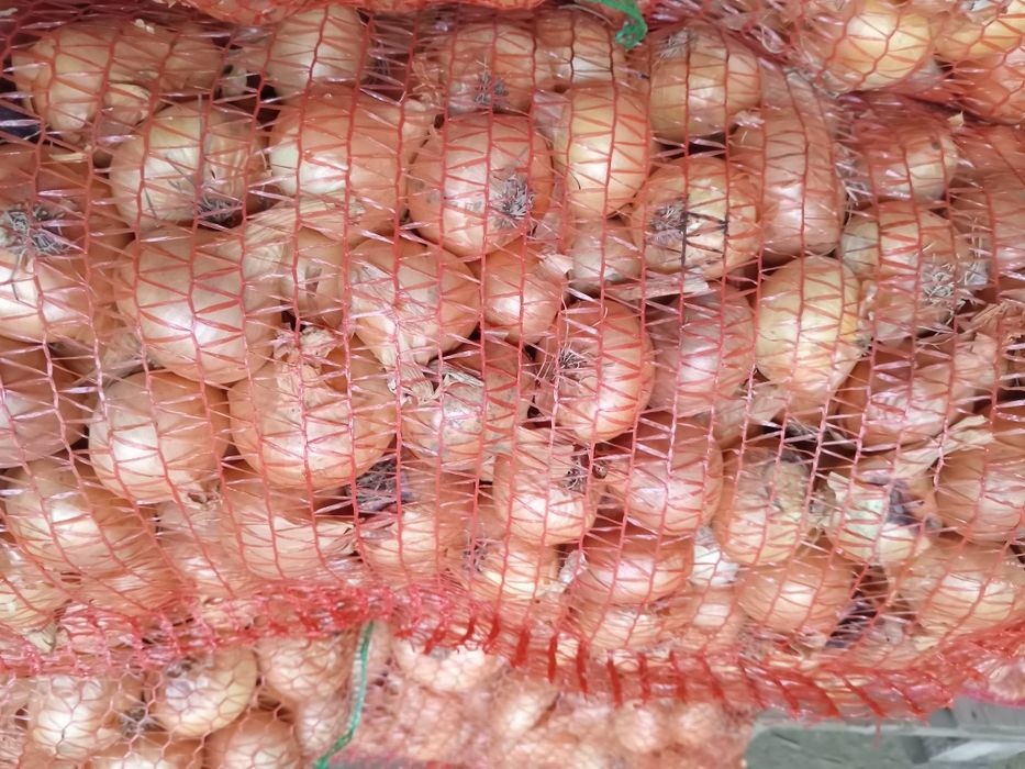 Ceapa pentru stufat din arpagic