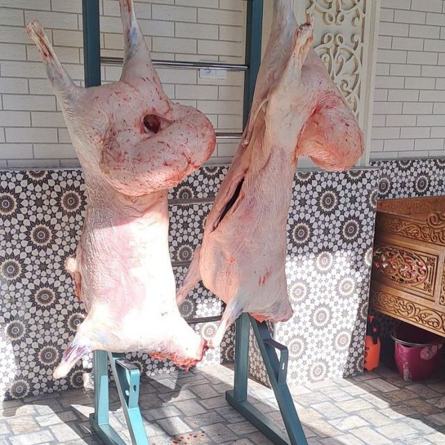 Qassob sizmati uyga boramiz