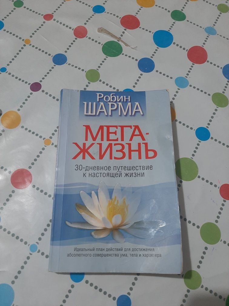 "Мега-жизнь" Робин Шарма