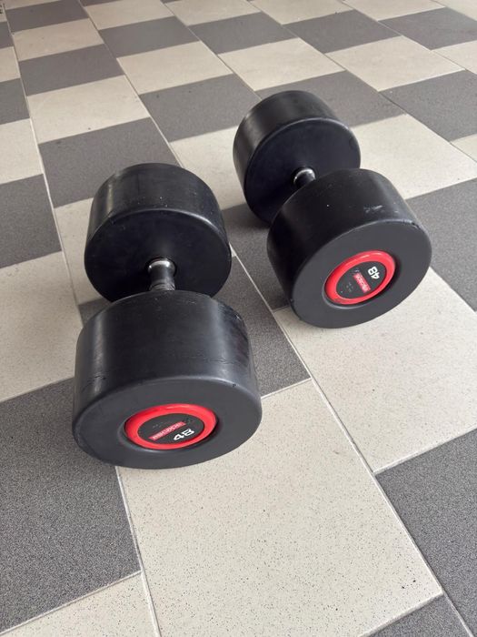 Set gantere 46 kg