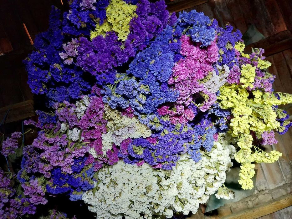 Flori uscate, buchete sau materie prima