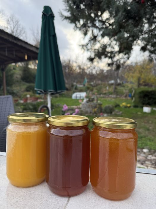 Био домашен мед – 100% натурален, директно от пчеларя