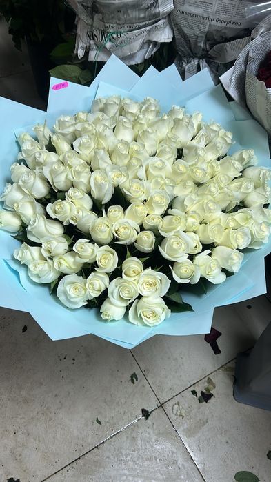 Красные розы букет