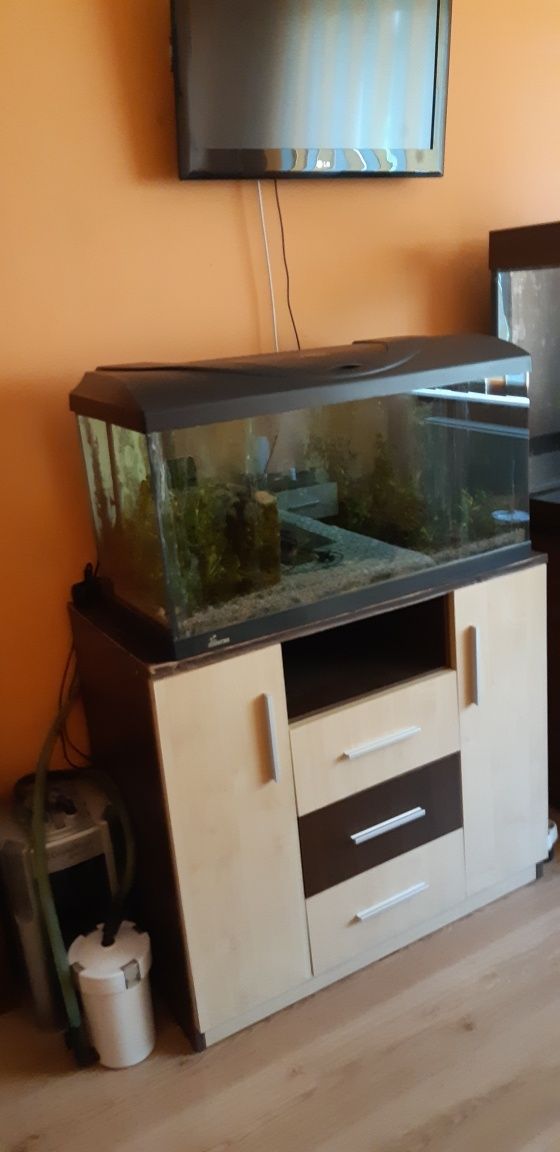Acvariu Diversa 80