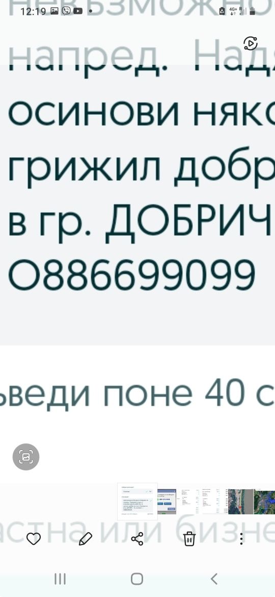 Малко кученце си търси стопанин  Безплатно