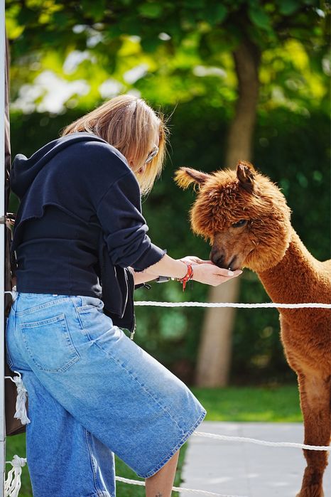 Mascul Alpaca & Caprita Anglo-Nubiana