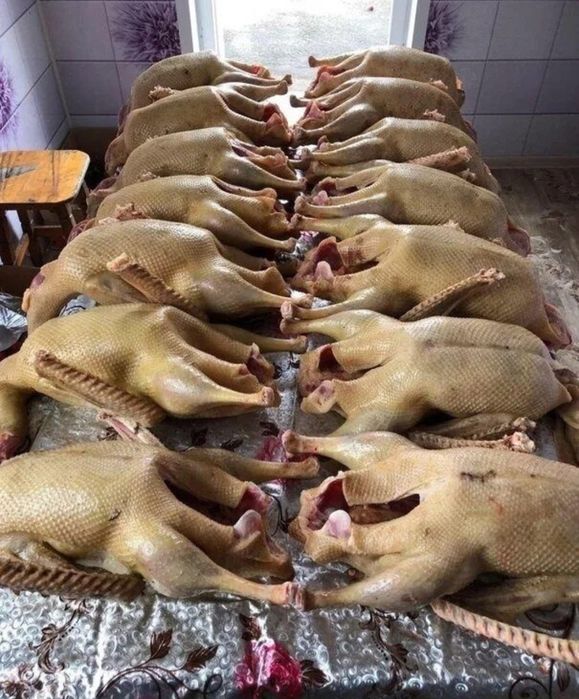 Мясо Гусей 3500кг