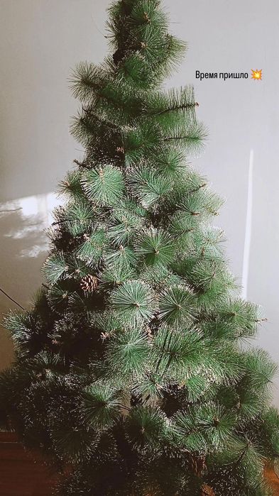Продам ёлку в хорошем состоянии